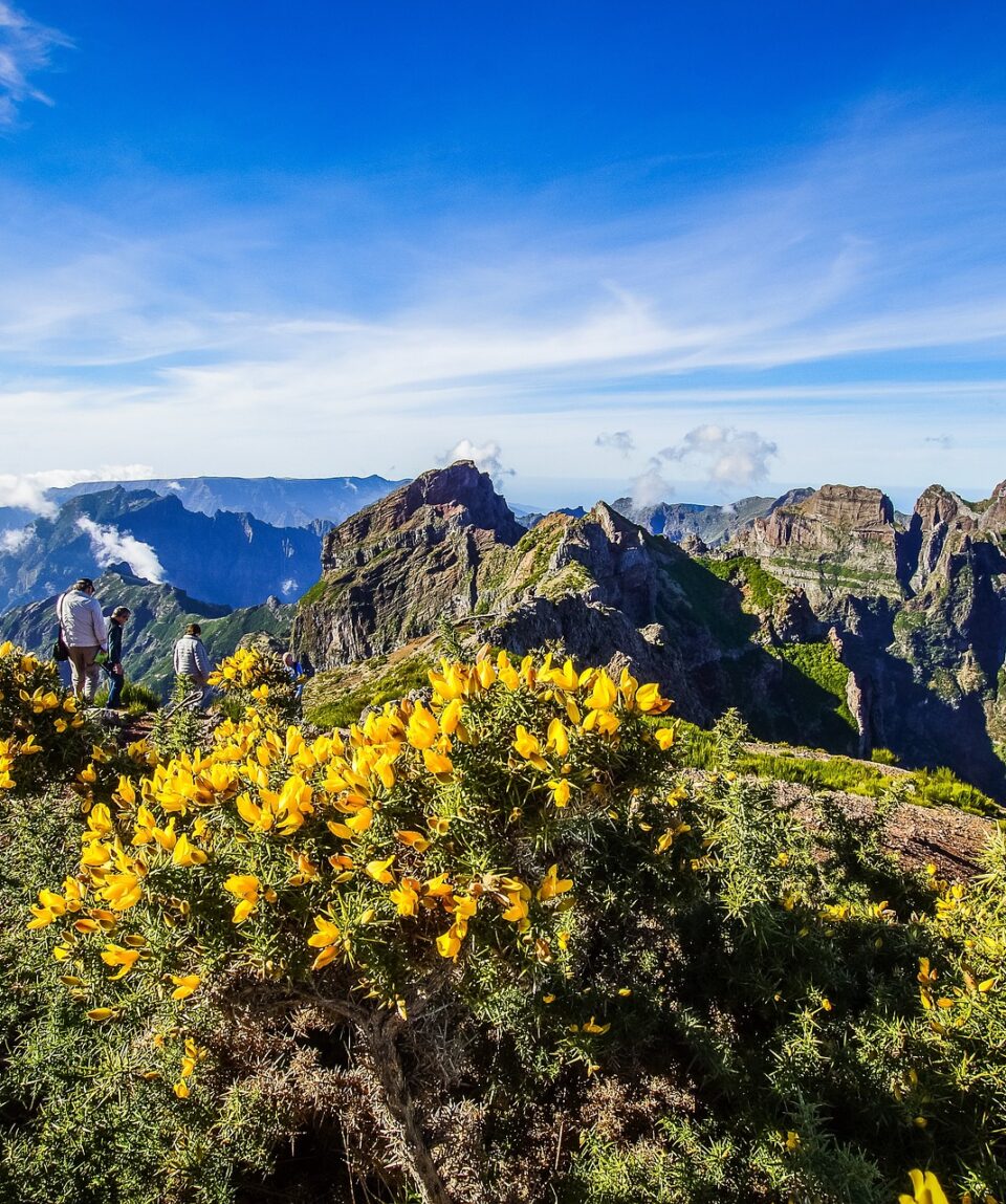 Zelená Madeira a romantický Lisabon júl
