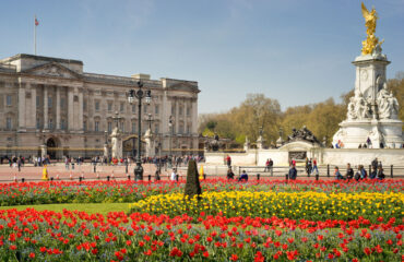Buckingham Palace flower beds
